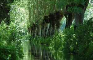 Marais Poitevin