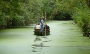 Marais Poitevin