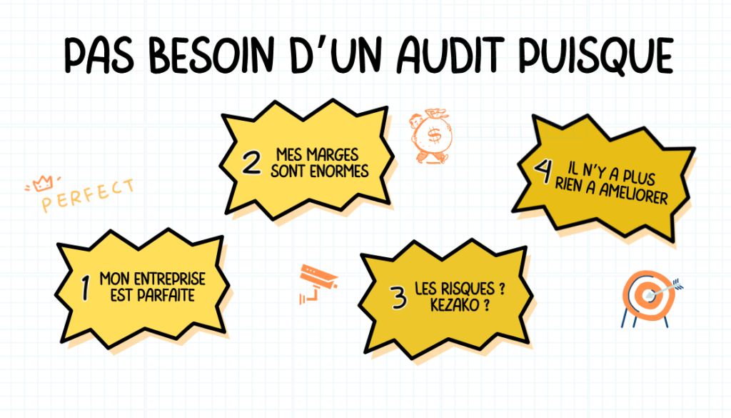 Pourquoi un audit ?